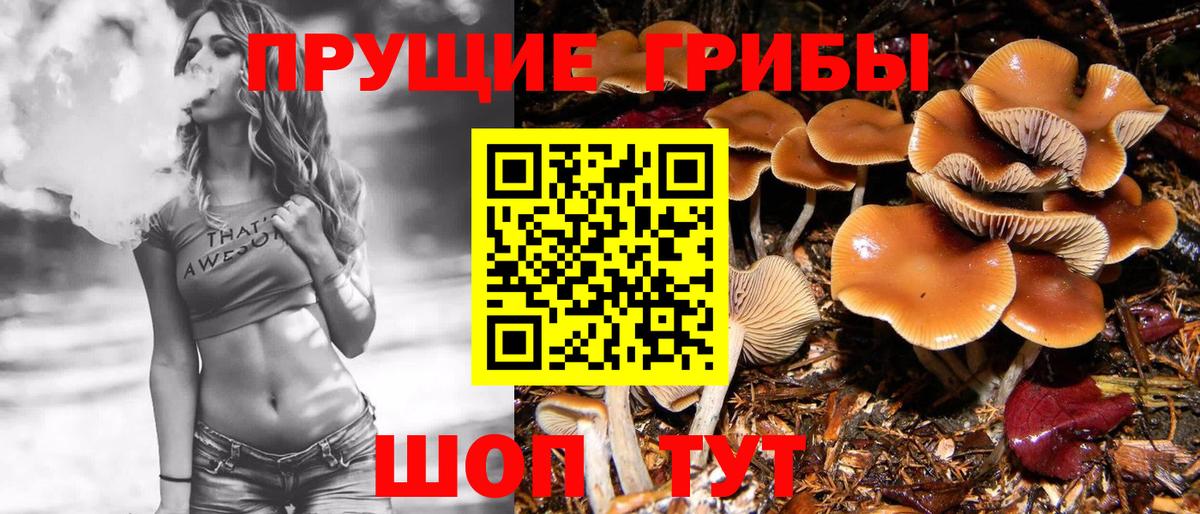 Галлюциногенные грибы мухоморы  где продают наркотики  Братск  Вход с VPN 